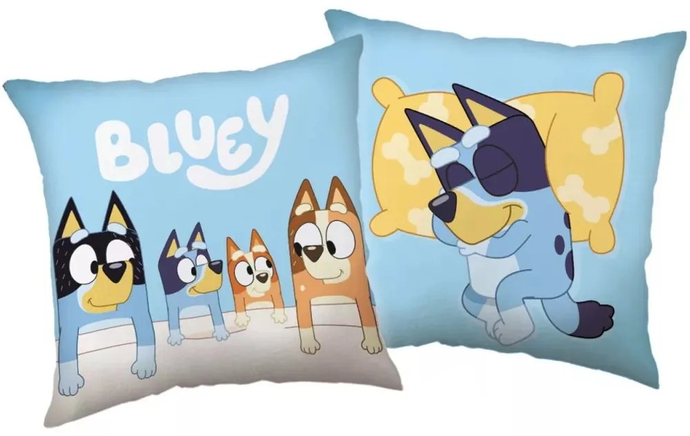 Dekoračný vankúš Bluey - motív Krásne sny - 40 x 40 cm