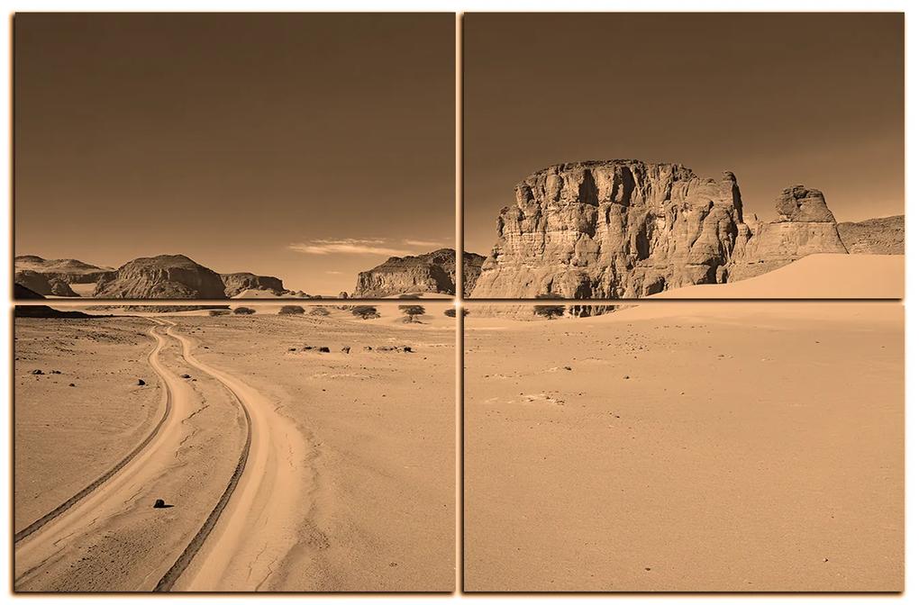 Obraz na plátne - Cesta v púšti 1129FE (90x60 cm)