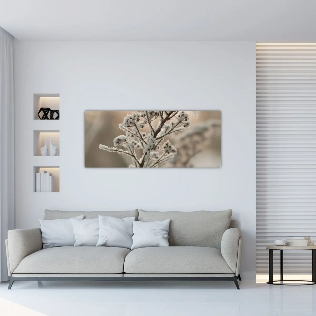 Obraz - Rastlina v mraze (120x50 cm)