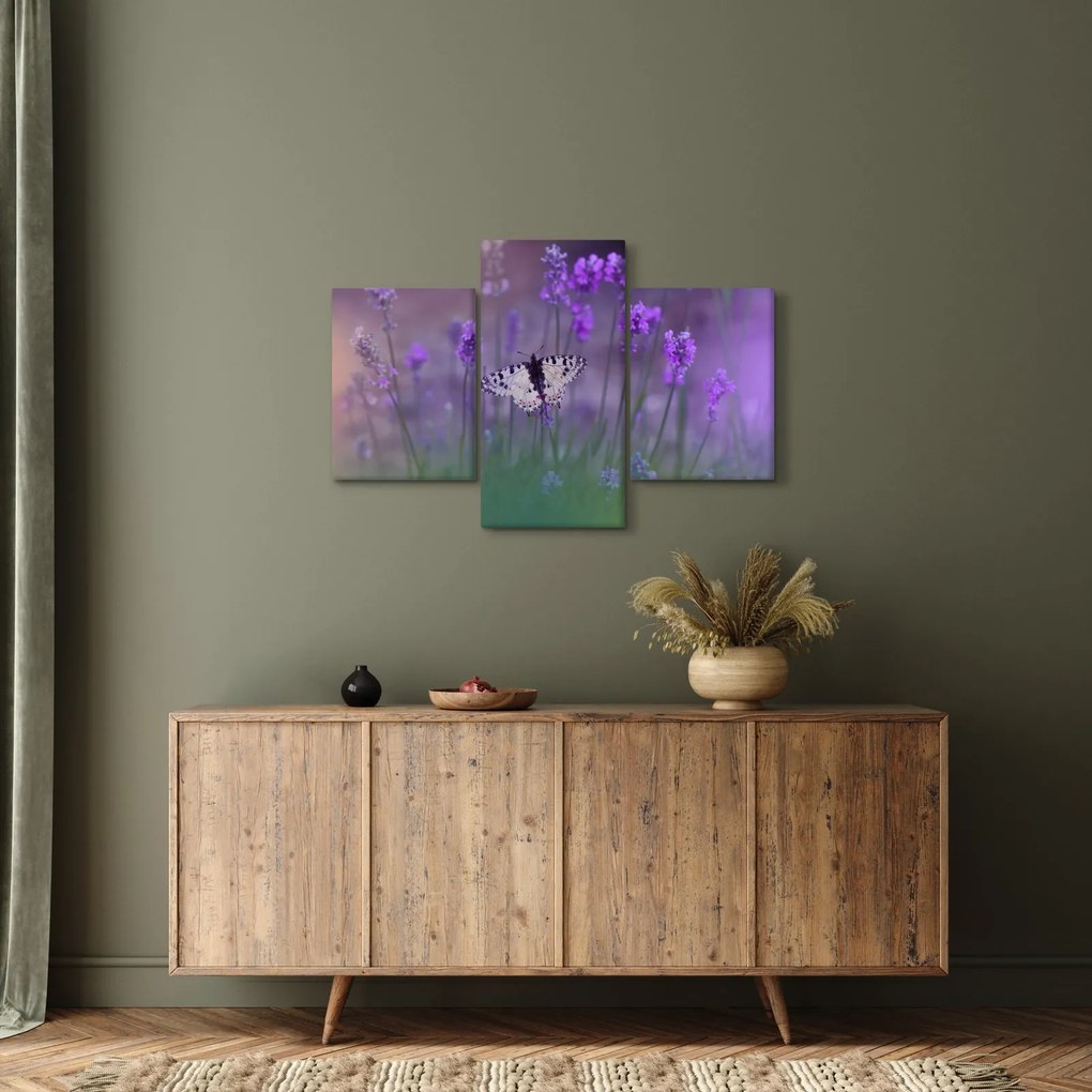 Obraz - Motýľ v levanduli (90x60 cm)