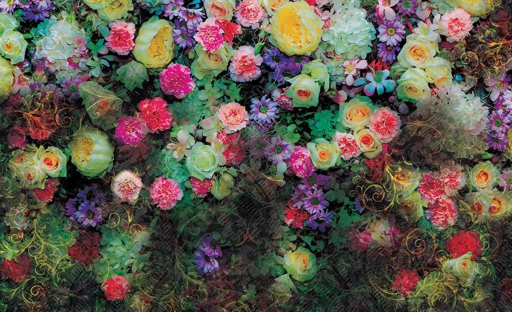 Fototapeta - Farebné kvety (254x184 cm)