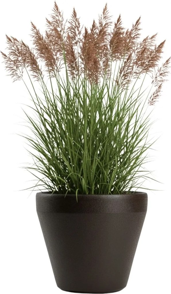 Plastový květináč Purea 49,4x55,4 cm mokka hnědý