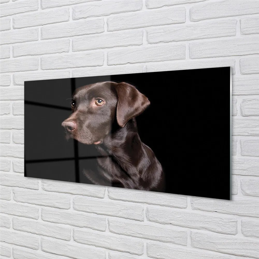 Sklenený obraz hnedý pes 125x50 cm