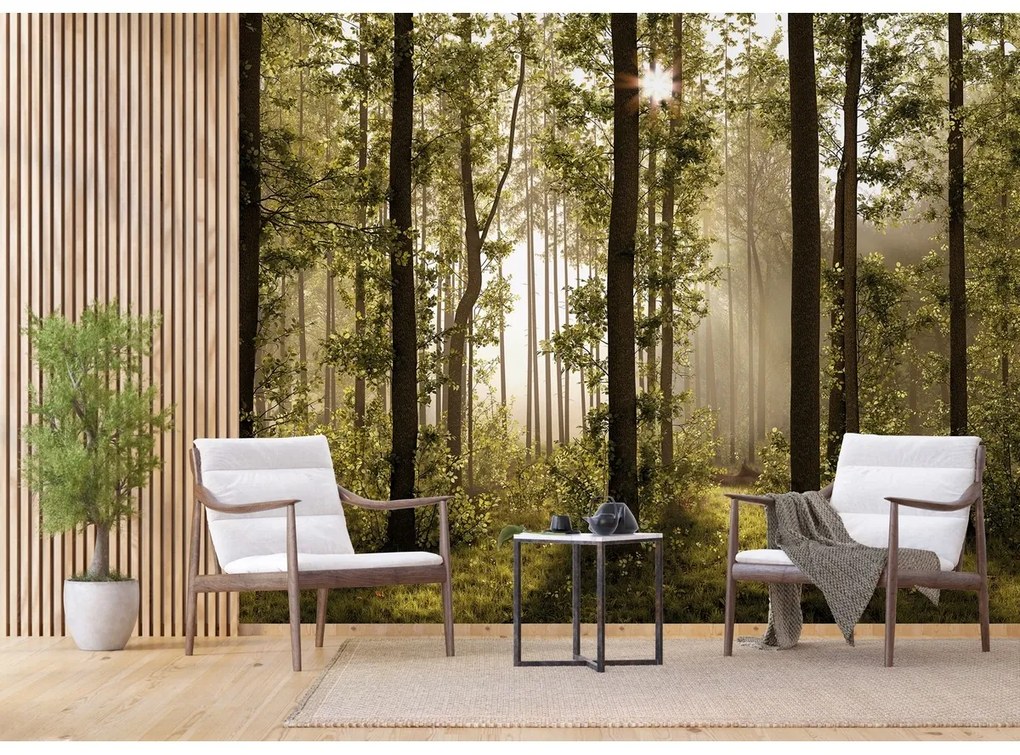 Fototapeta XXL Forest 360 x 254 cm, 4 diely