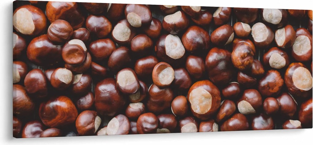 Obraz - Zrelé gaštany (120x50 cm)