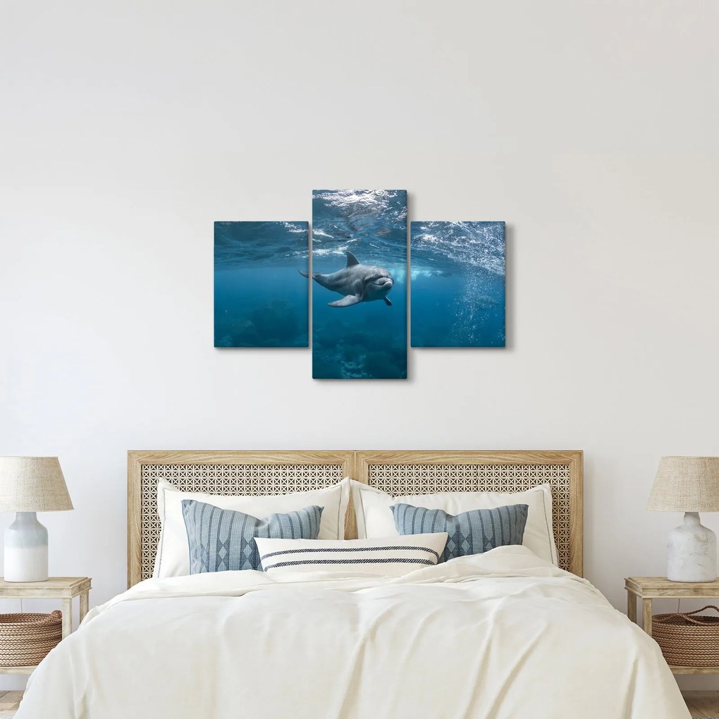 Obraz - Delfín pod hladinou (90x60 cm)