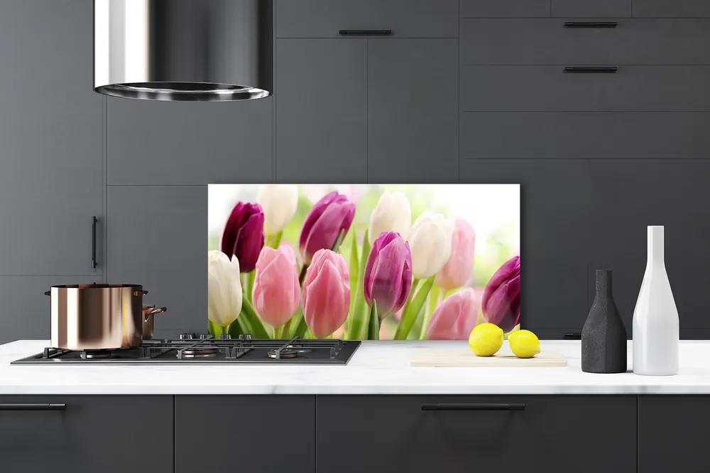 Sklenený obklad Do kuchyne Tulipány kvety príroda lúka 140x70 cm