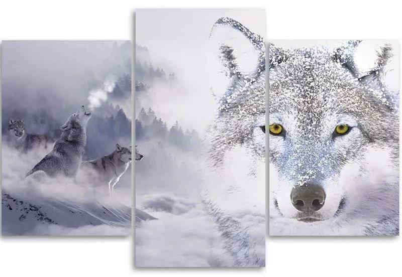 Obraz na plátně třídílný Šedý vlk Cloud Forest Mountain - 150x100 cm