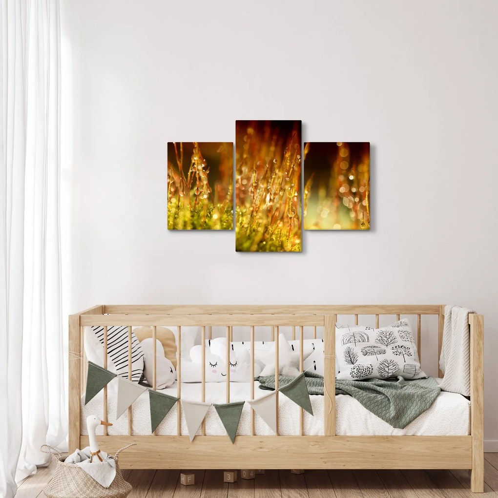 Obraz - Detail rosy (90x60 cm)
