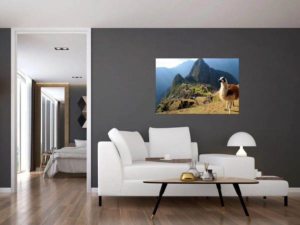 Obrázok - Lama a Machu Picchu (90x60 cm)