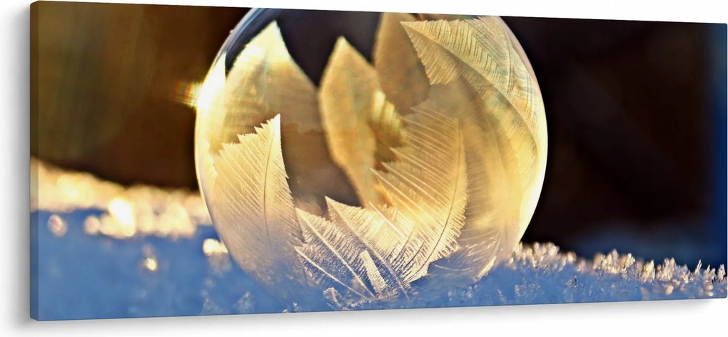 Obraz zamrznutej bubliny (120x50 cm)