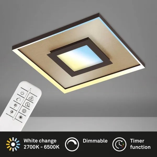 Briloner 3641-017 - LED Stmievateľné svietidlo FRAME LED/30W/230V 2700-6500K + DO