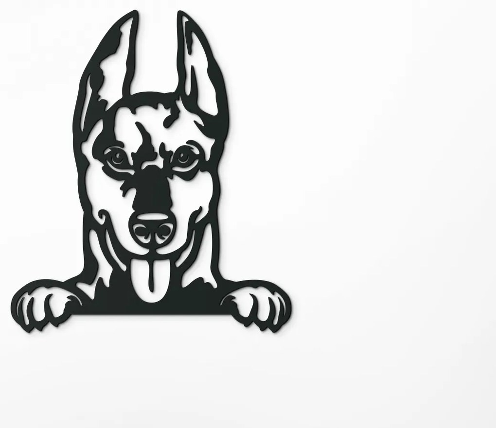 drevko Drevený obraz na stenu Doberman Rozmer obrazu: 44,5 x 38,5 cm, Farba dekorácie: Čierna