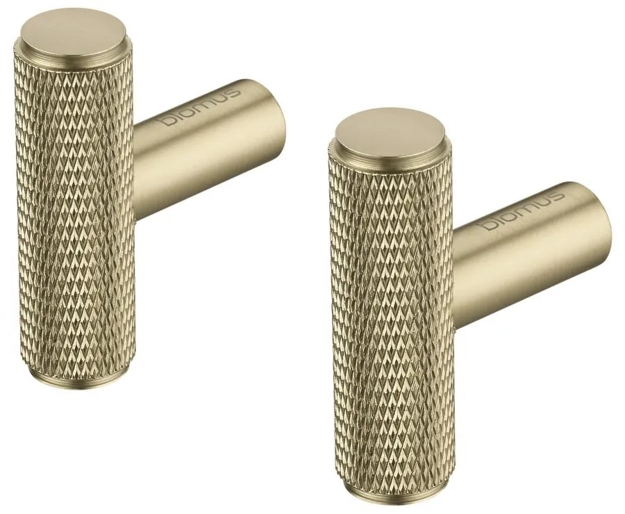 Nástenné kovové háčiky v súprave v mosadznej farbe 2 ks Rof – Blomus