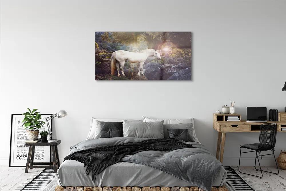 Obraz na akrylátovom skle Unicorn v lese 125x50 cm