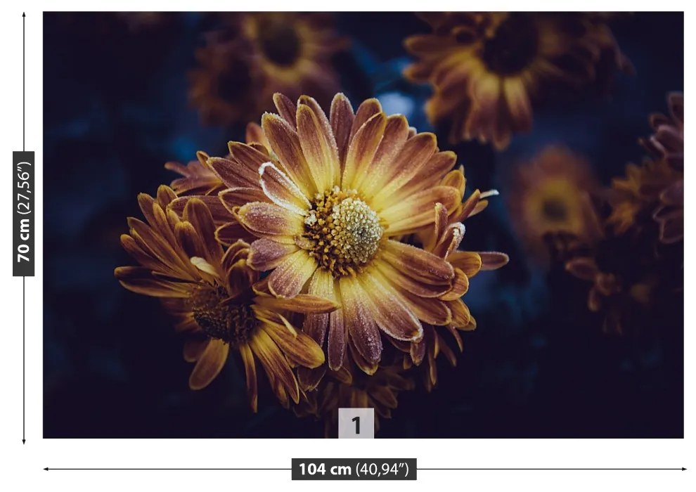 Fototapeta Vliesová Žltý kvet 208x146 cm