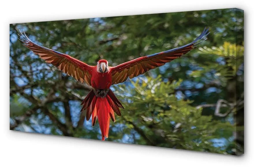 Obraz na plátne ara papagáj 100x50 cm