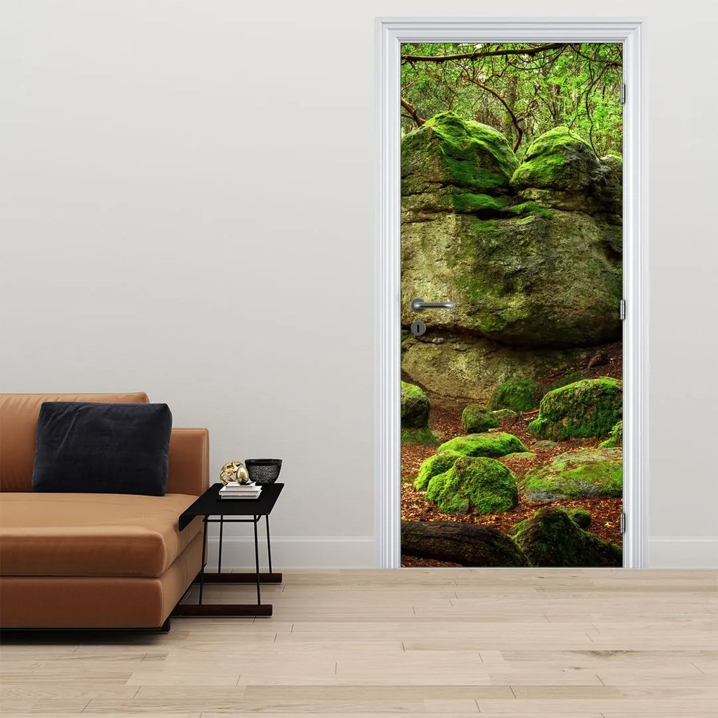 Fototapeta na dvere - Kúzelný les (95x205cm)