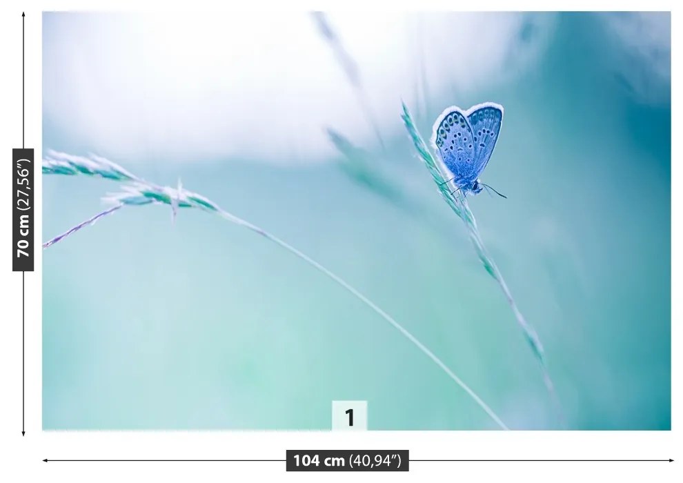 Fototapeta Vliesová Motýlie tráva 104x70 cm