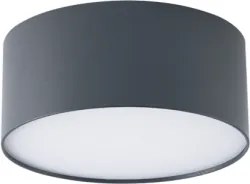BRILAGI - LED Vonkajšie stropné svietidlo FORIS LED/20W/230V pr. 15 cm antracit IP44