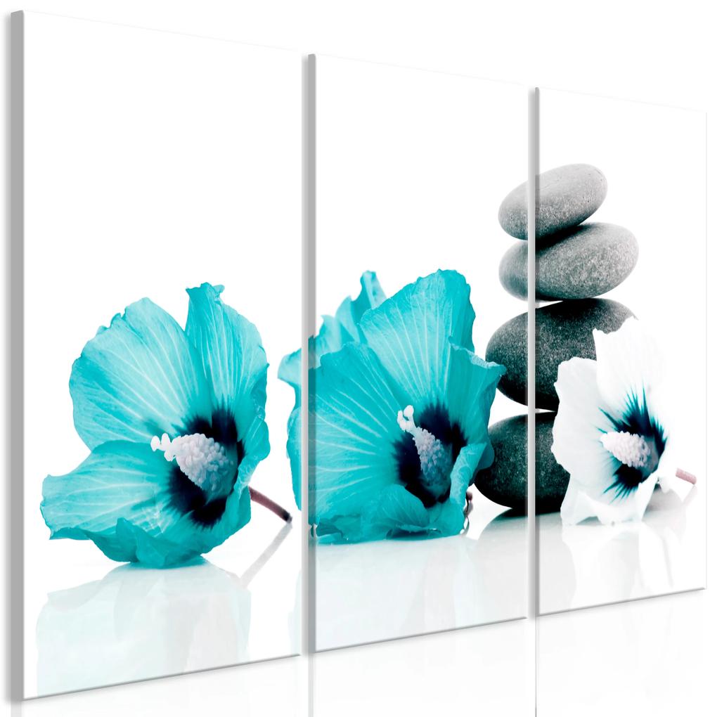 Artgeist Obraz - Calm Mallow (3 Parts) Turquoise Veľkosť: 60x40, Verzia: Premium Print