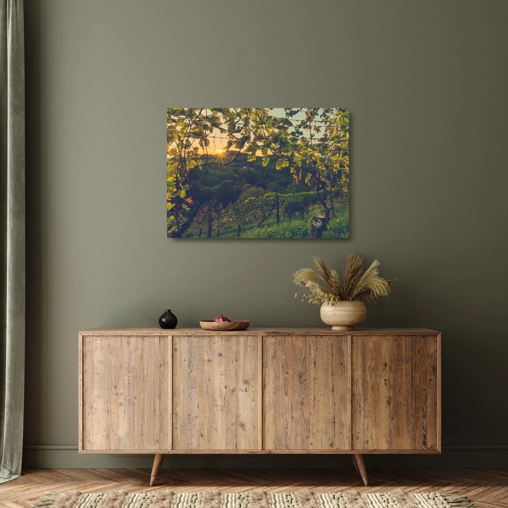 Sklenený obraz - Vinice (70x50 cm)