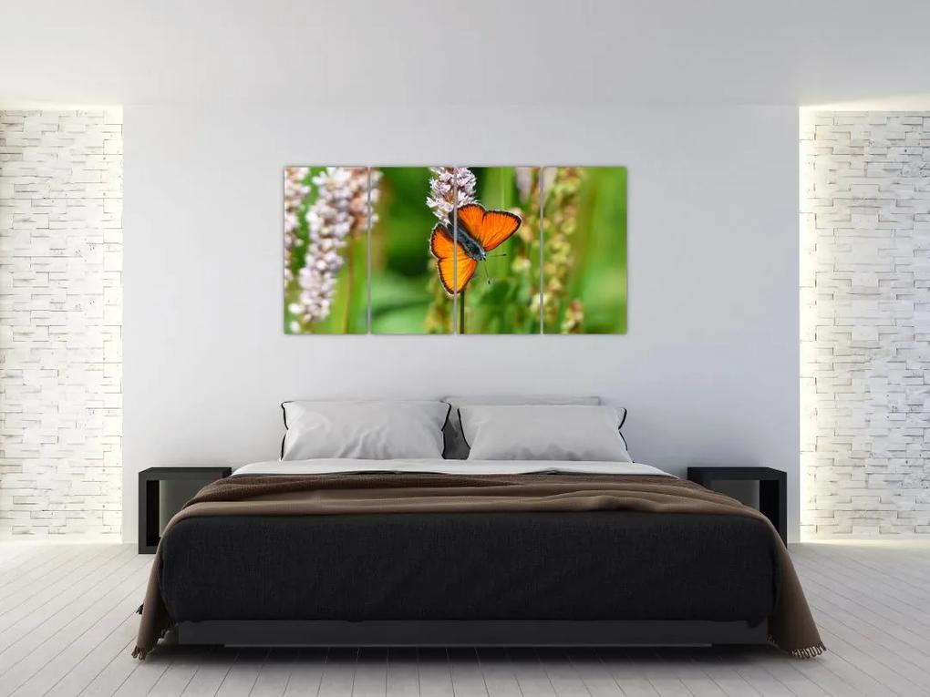 Moderný obraz motýľa na lúke