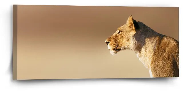 Sablio Obraz Levice 2 - 110x50 cm