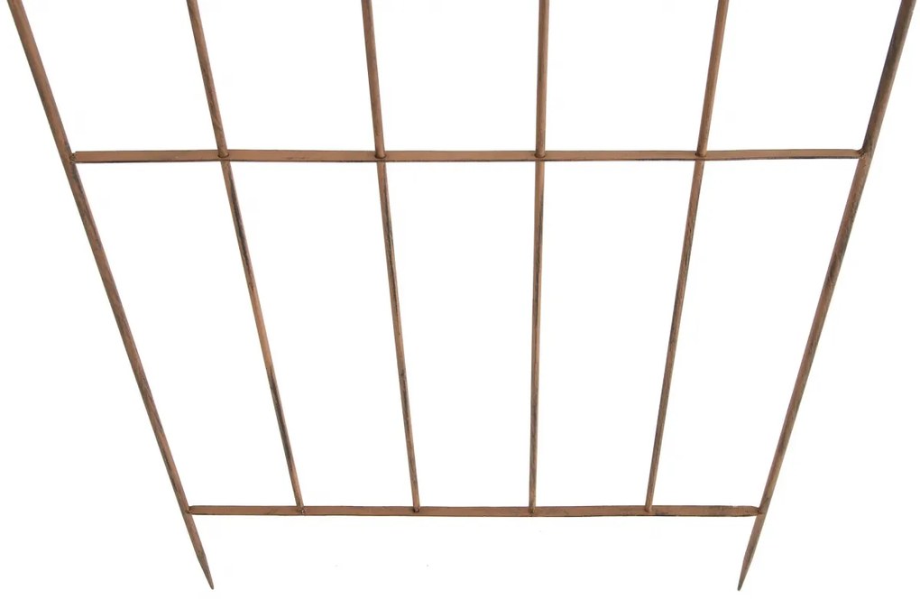 2x Mriežka na popínavé rastliny Paula - 180 x 85,5 cm - Hnedá antik