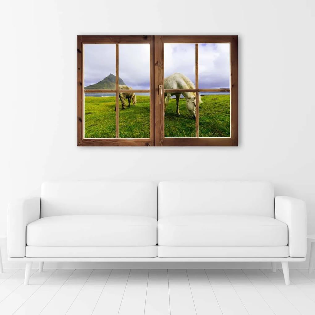 Obraz na plátně Výhled  z okna na koňskou louku - 120x80 cm