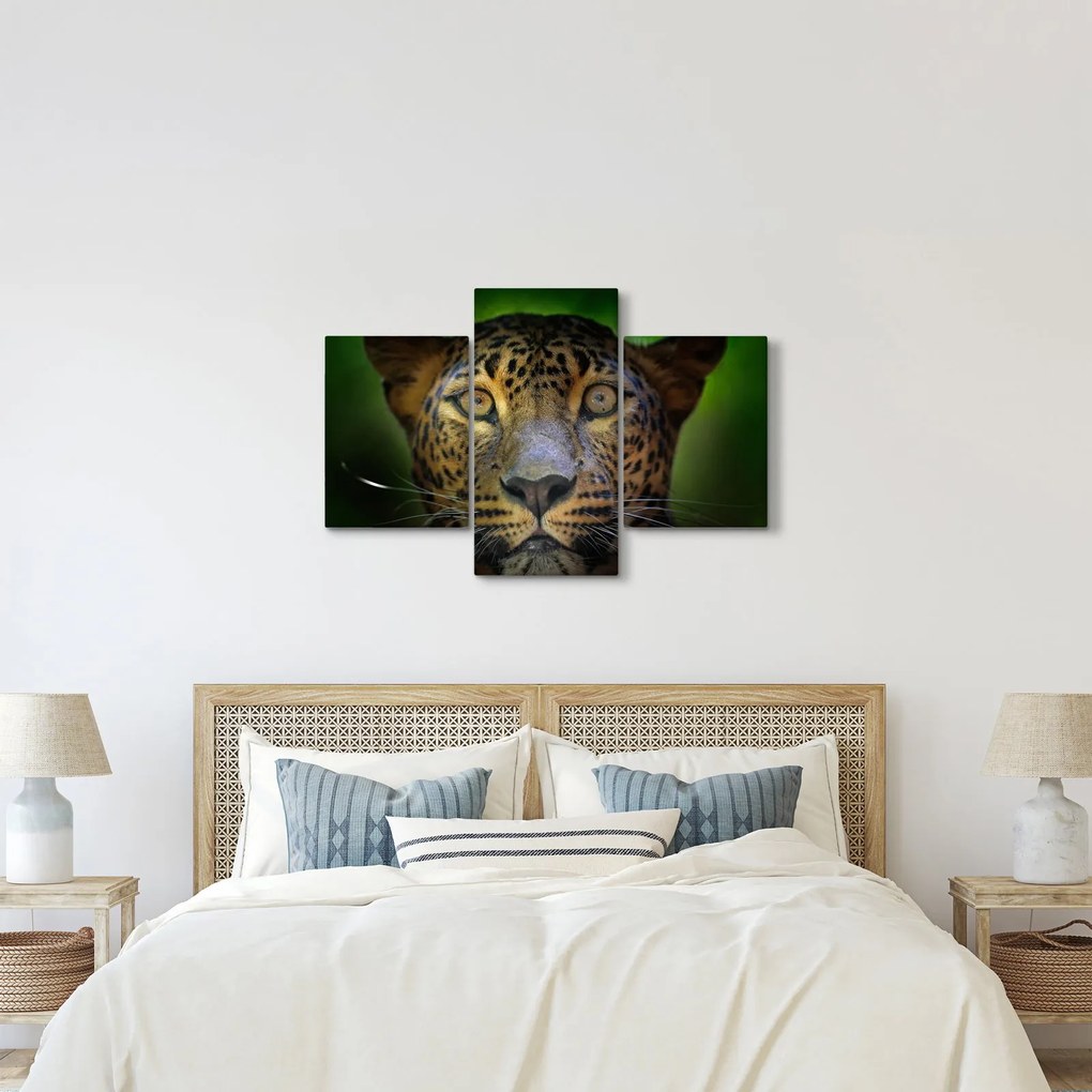 Obraz - Portrét leoparda, Sri Lanka (90x60 cm)