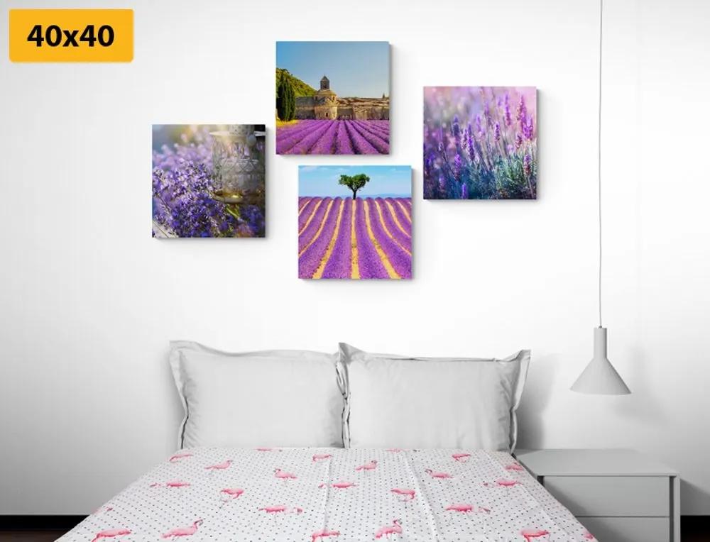 Set obrazov levanduľové bohatstvo - 4x 60x60