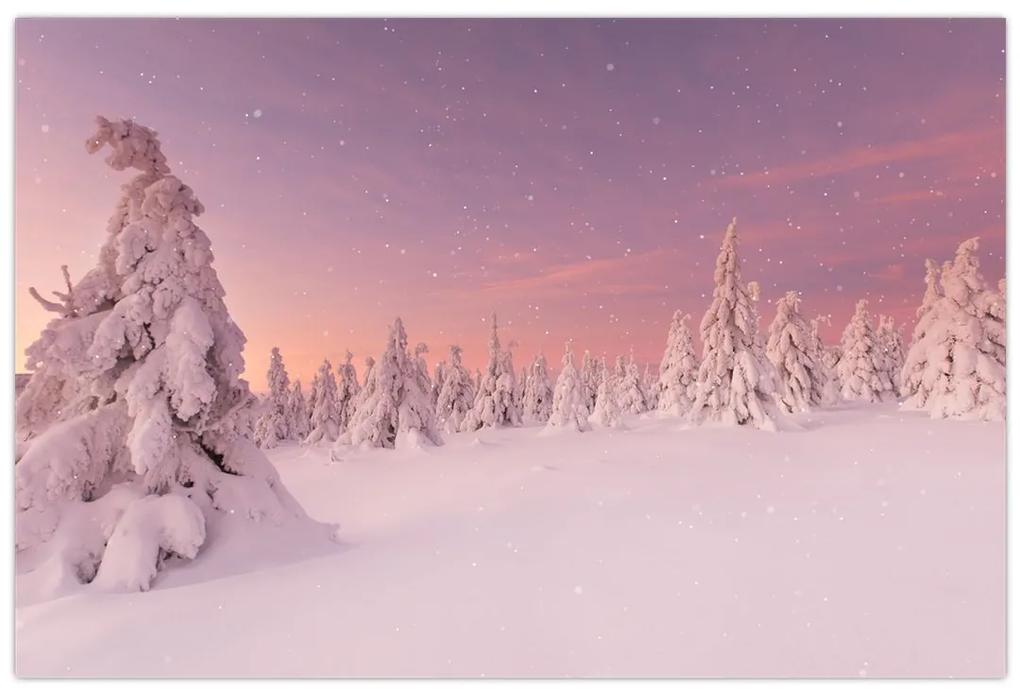 Obraz - Stromy pod snehovou prikrývkou (90x60 cm)