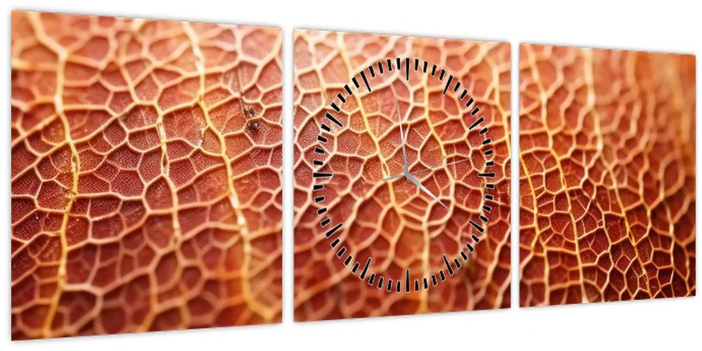 Obraz - Detail textúry (s hodinami) (90x30 cm)