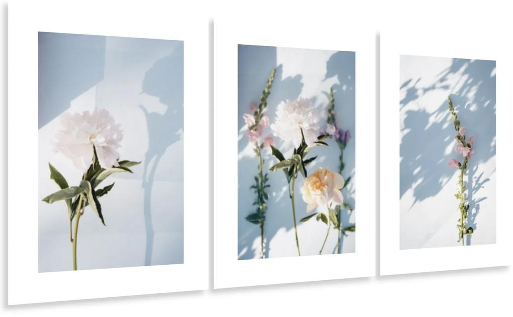 Gario Sada plagátov Jesenné kvety - 3 dielna Farba rámu: Bez rámu, Rozmery: 99 x 45 cm