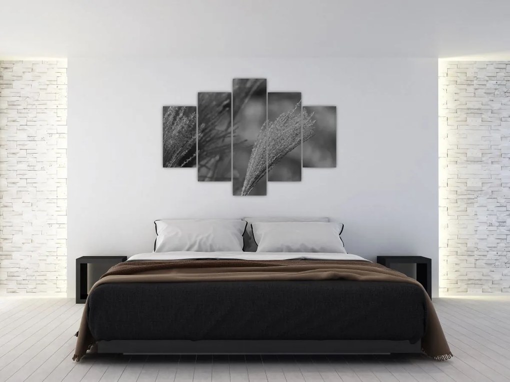 Obraz - Sušená pampová tráva (150x105 cm)