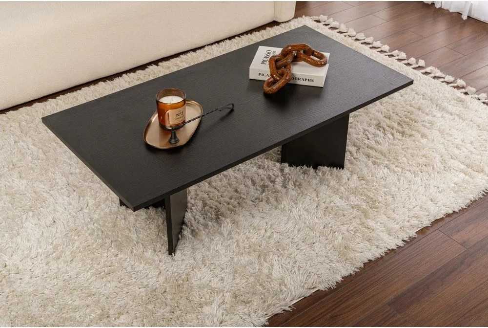 Čierny matný konferenčný stolík 60x119 cm Sabin – Kalune Design