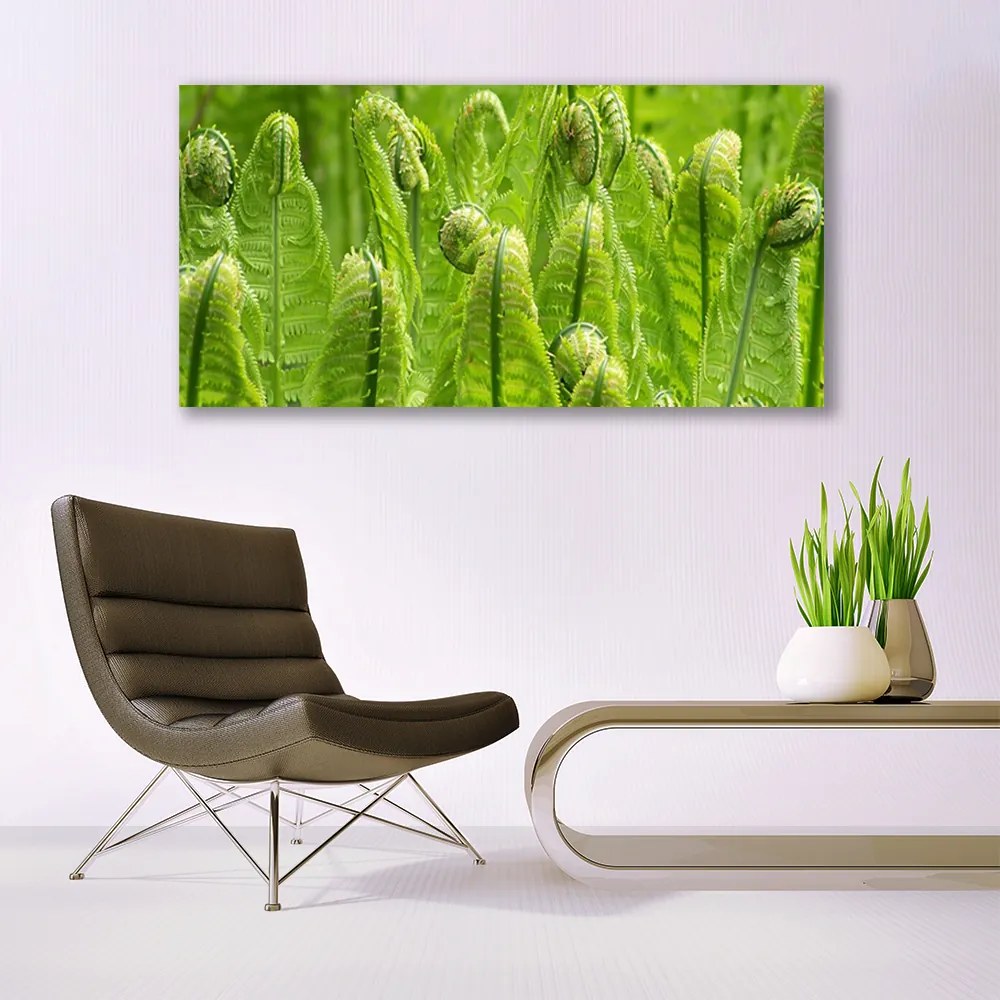 Obraz plexi Rastlina príroda 120x60 cm