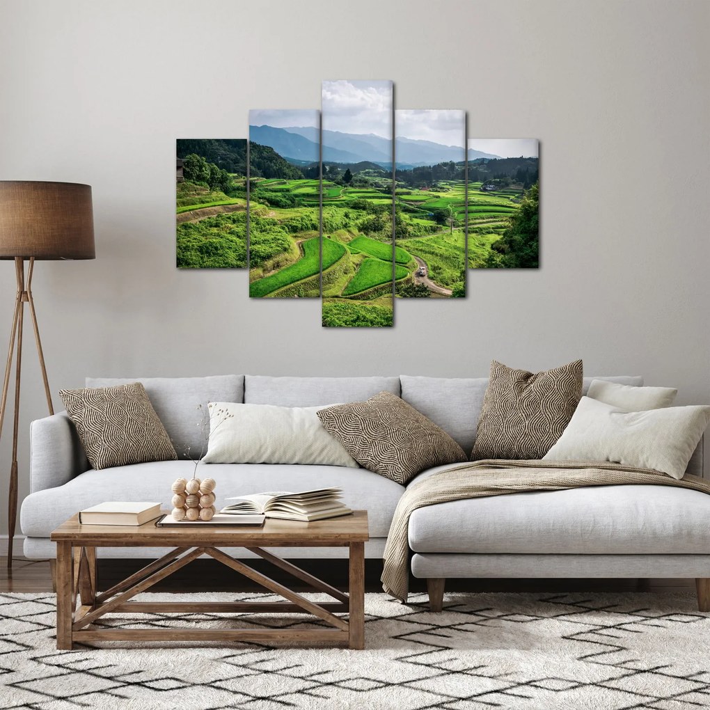 Obraz ryžových polí (150x105 cm)