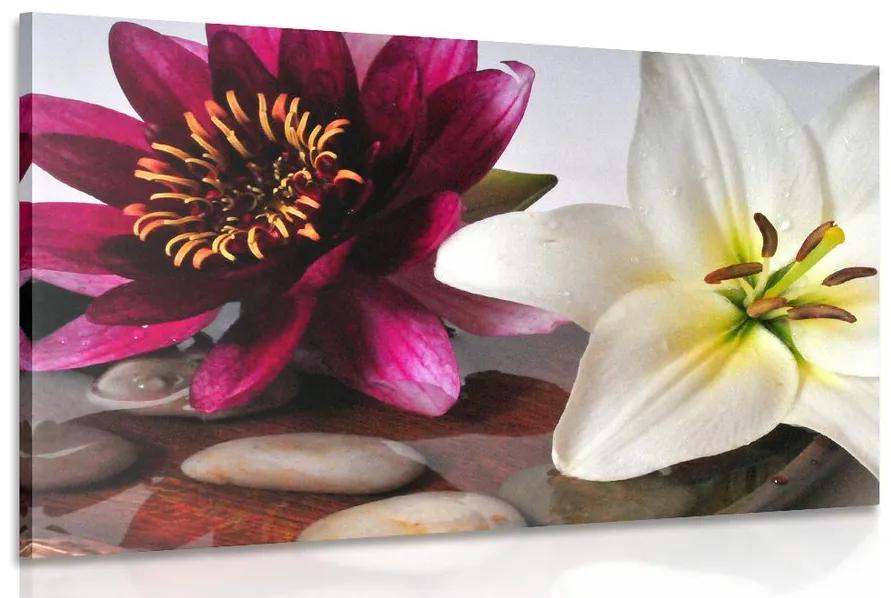 Obraz kvety v miske so Zen kameňmi Varianta: 90x60