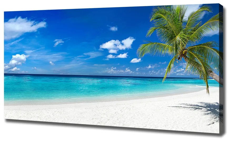 Foto obraz na plátne Tropická pláž pl-oc-120x60-f-158283371