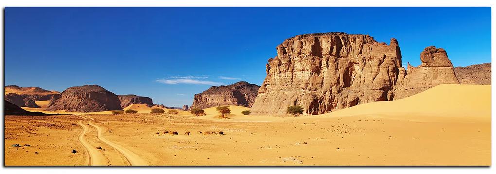 Obraz na plátne - Cesta v púšti - panoráma 5129A (120x45 cm)