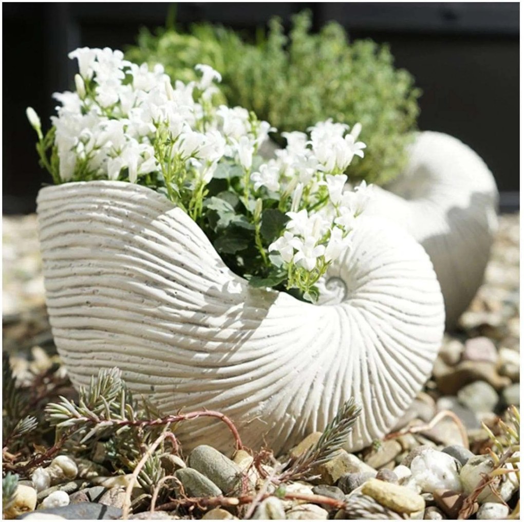 Hrniec Shellfish