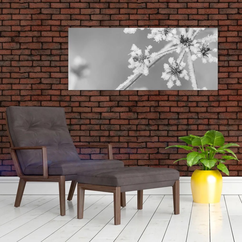 Obraz - Zamrznutá rastlina (120x50 cm)
