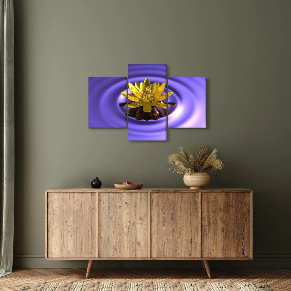 Obraz - Lekno (90x60 cm)
