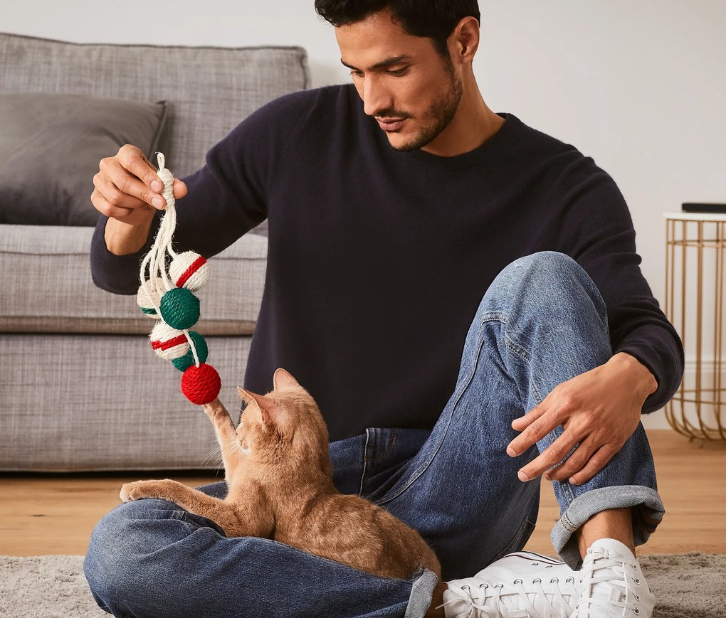 Hračka pre mačky, hrkálka