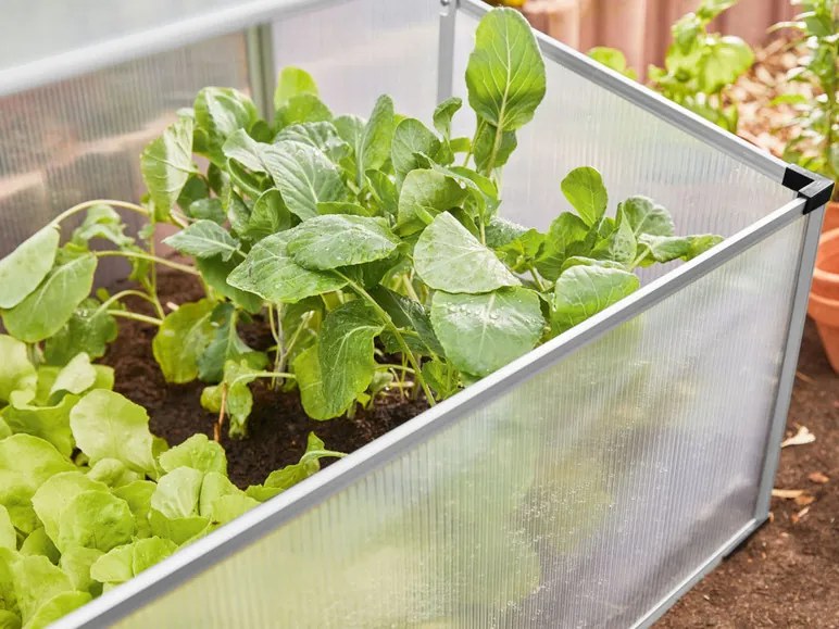 PARKSIDE® Parenisko (100343515)