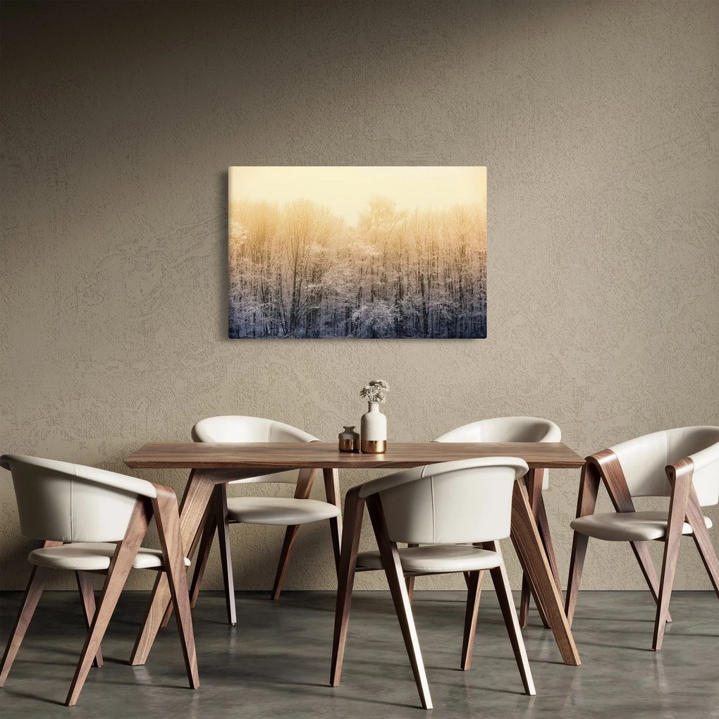 Obraz mrazivého lesa (90x60 cm)