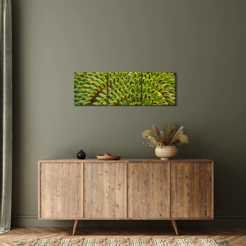 Obraz - Papraď (s hodinami) (90x30 cm)