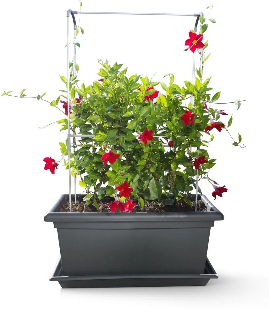 Gardenico Vertikálna podpera Green Wall Magnus, 80 cm, 80 cm